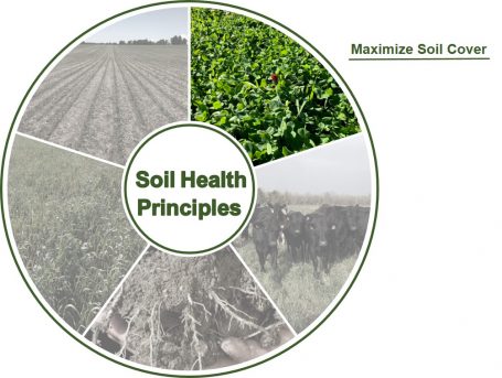 Soil Circle - Maximize Soil Cover - Grey
