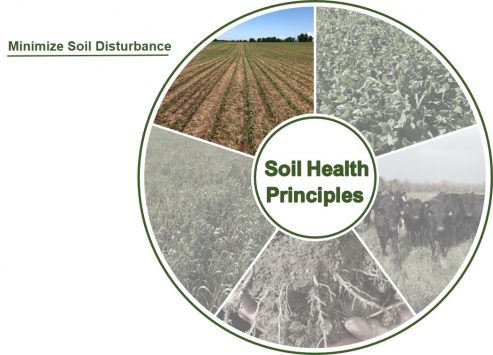 Soil Circle - Minimize Soil Disturbance - Grey