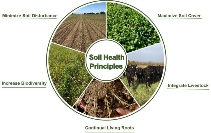 Soil Health Circle